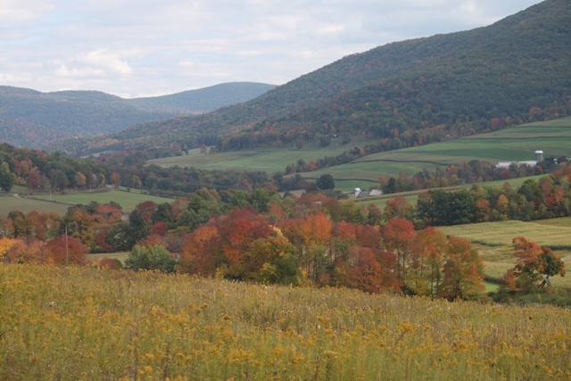 Rural Pennsylvania scenery distracts us from the truth about police protection for elderly, disabled Pennsylvanians: photo by Rich Hill