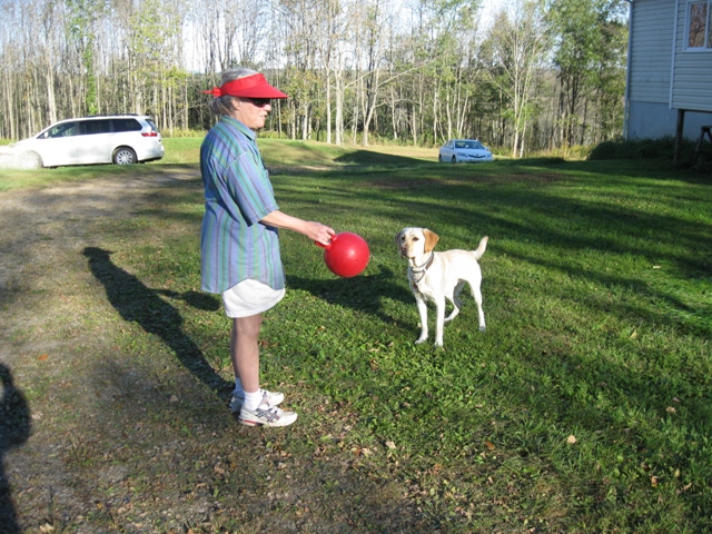Author Donna W. Hill takes time to play with her yellow Lab guide dog, Mo, and his red Jolly Ball: photo by Rich Hill.